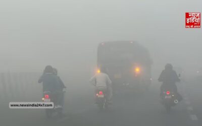 दिल्ली NCR में छाया घना कोहरा; विजिबिलिटी कम होने से IGI एयरपोर्ट पर 200 से ज्यादा उड़ानें लेट, IMD ने जारी किया येलो