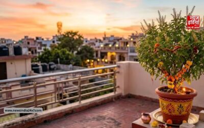 क्या छत पर तुलसी रखना अशुभ माना जाता है? जानिए क्या कहता है धर्म और वास्तु