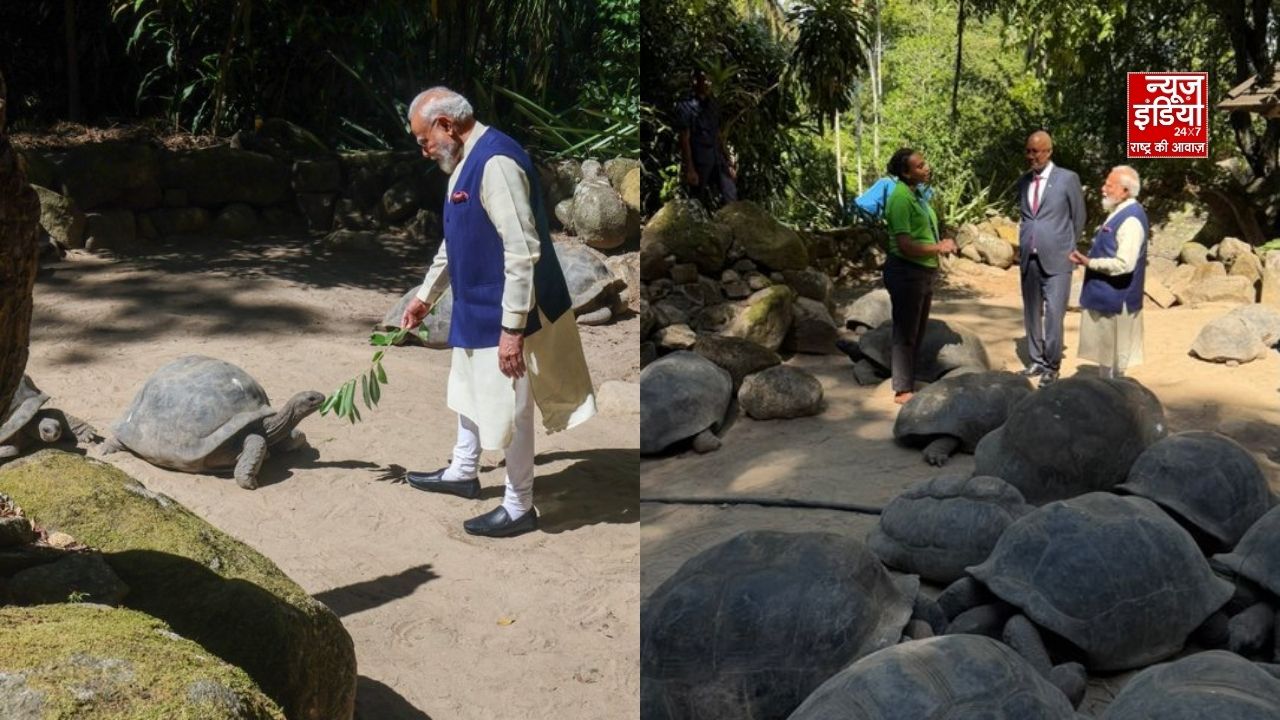 सेशेल्स में PM Modi ने दुनिया के सबसे बुजुर्ग कछुए ‘जोनाथन’ से की मुलाकात
