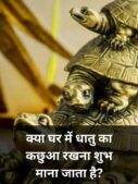 Metal Turtle Vastu Benefits