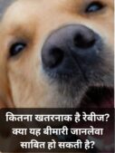 Rabies Danger