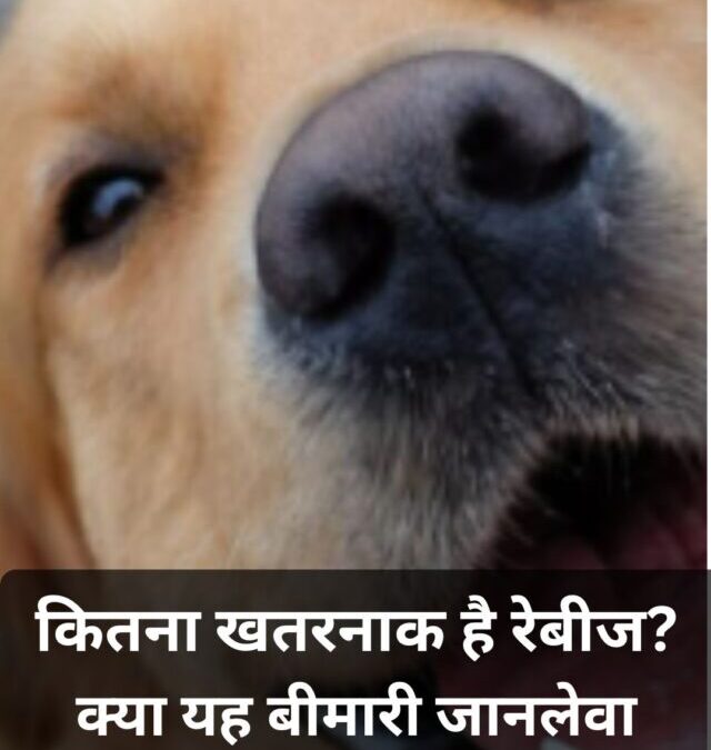 कितना खतरनाक है रेबीज? जानिए क्या यह बीमारी जानलेवा हो सकती है