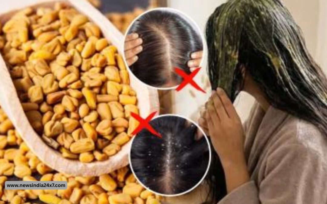 झड़ते बालों से हैं परेशान? मेथी में यह चीज मिलाकर लगाएं, बालों को मिल सकता है नया जीवन