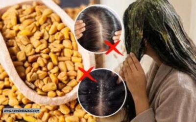 झड़ते बालों से हैं परेशान? मेथी में यह चीज मिलाकर लगाएं, बालों को मिल सकता है नया जीवन