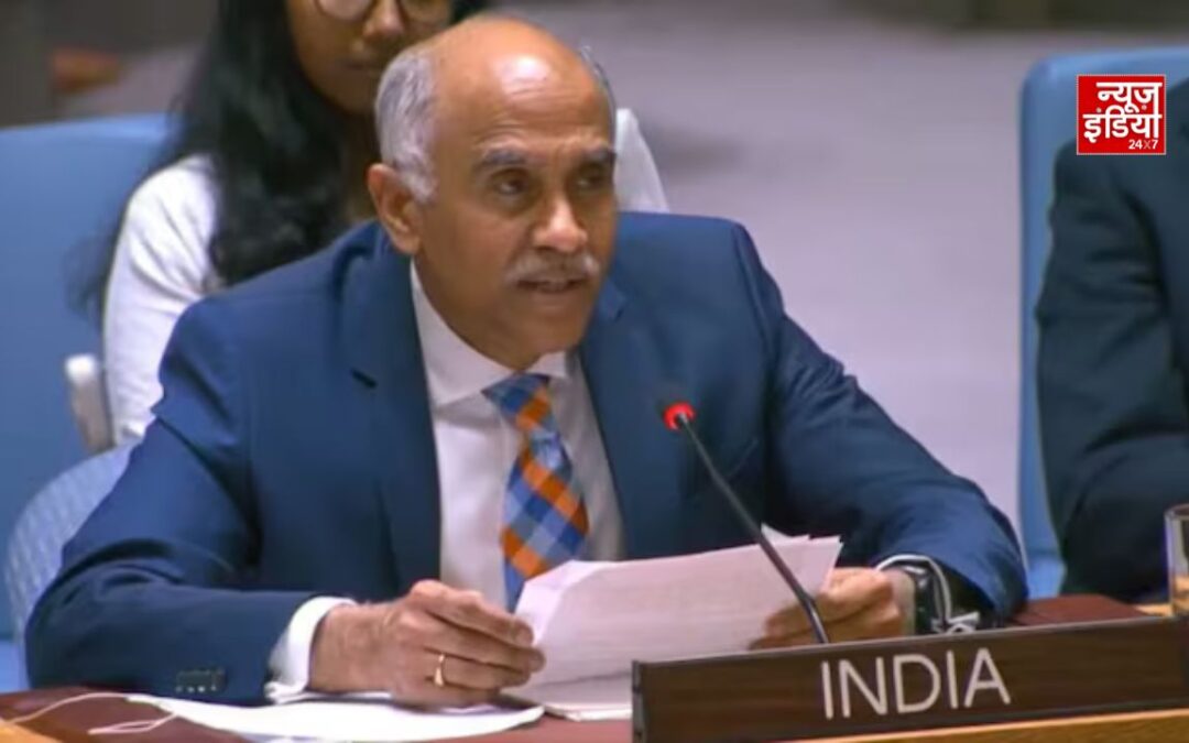 UNSC में भारत का बड़ा बयान, होर्मुज की सुरक्षा को लेकर जताई चिंता