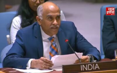 UNSC में भारत का बड़ा बयान, होर्मुज की सुरक्षा को लेकर जताई चिंता