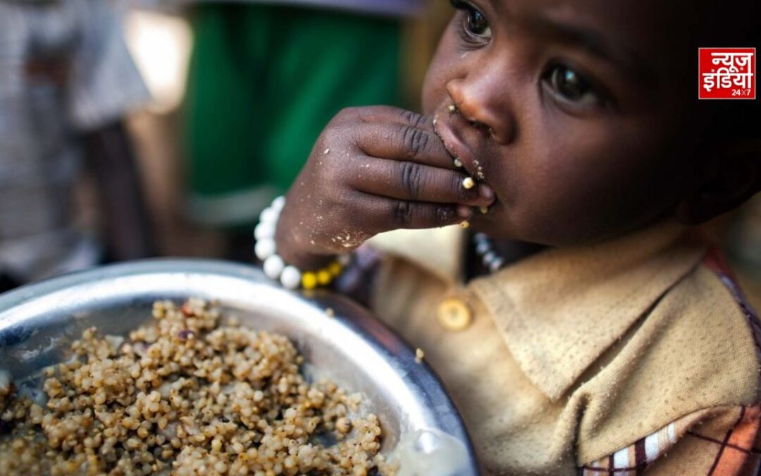 UN Report: दुनिया में रिकॉर्ड खाद्य उत्पादन के बावजूद करोड़ों भूखे, हर तीसरा व्यक्ति पौष्टिक भोजन से दूर