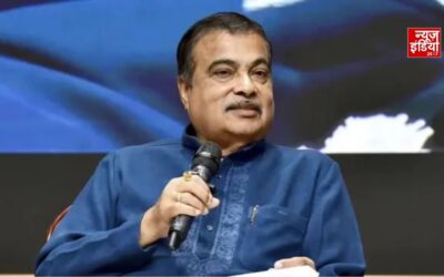 E20 Petrol से 2-6% तक घट सकती है माइलेज, इंजन को नहीं होगा नुकसान: गडकरी