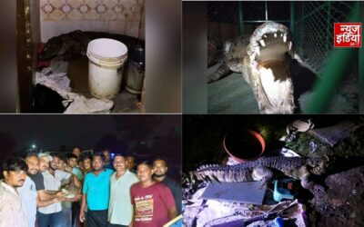 घर के बाथरूम में मिला 7 फीट लंबा मगरमच्छ, रातभर भौंकते रहे कुत्ते तो खुला खौफनाक राज