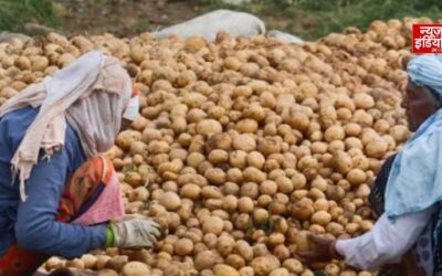 यूपी के आलू किसानों को बड़ी राहत, कोल्ड स्टोरेज भंडारण पर मिलेगी ₹1 प्रति किलो सब्सिडी