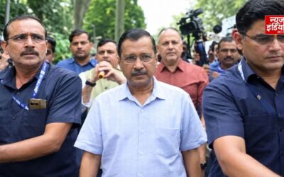 E20 पेट्रोल पर आर-पार के मूड में AAP, देशभर में टाउन हॉल की तैयारी