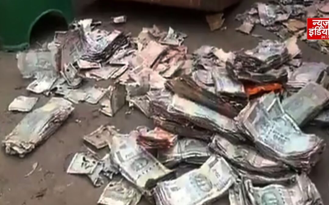 चोरों से बचाने के लिए छिपाए ₹5 लाख, दीमकों ने बना दिए कागज के टुकड़े