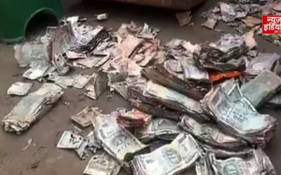 चोरों से बचाने के लिए छिपाए ₹5 लाख, दीमकों ने बना दिए कागज के टुकड़े