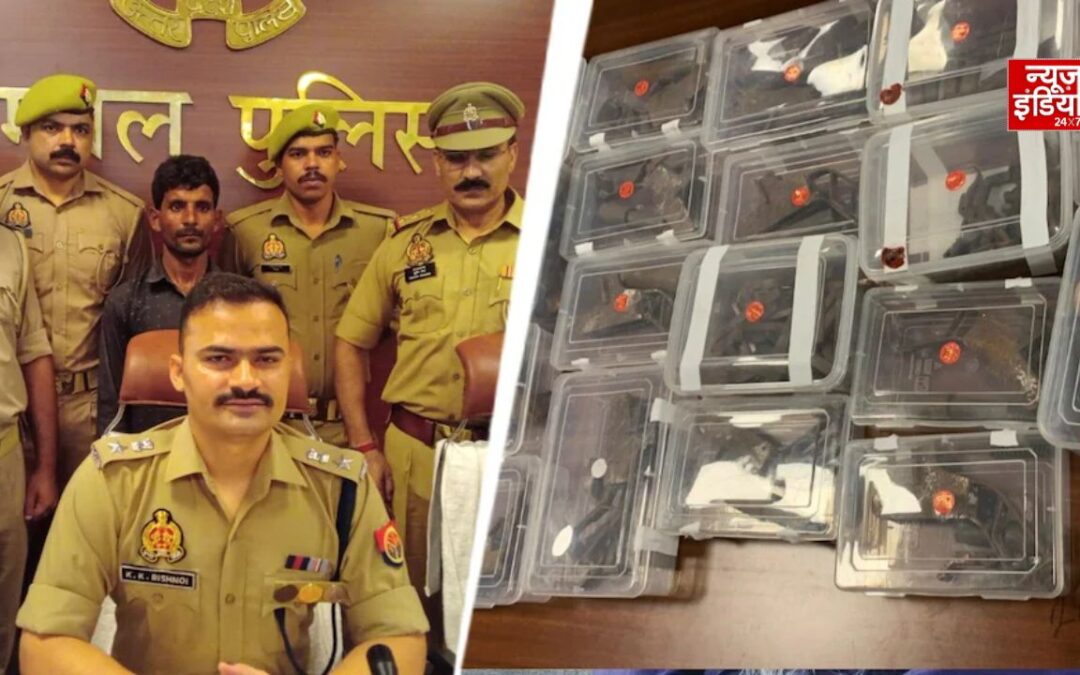 संभल में अवैध तमंचा फैक्ट्री का भंडाफोड़, दिन में बजरफुट बेचने वाला आरोपी गिरफ्तार