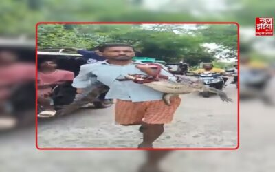 किसान कंधे पर 5 फीट लंबा मगरमच्छ लादकर पहुंचा थाने, वन विभाग ने कोसी नदी में छोड़ा