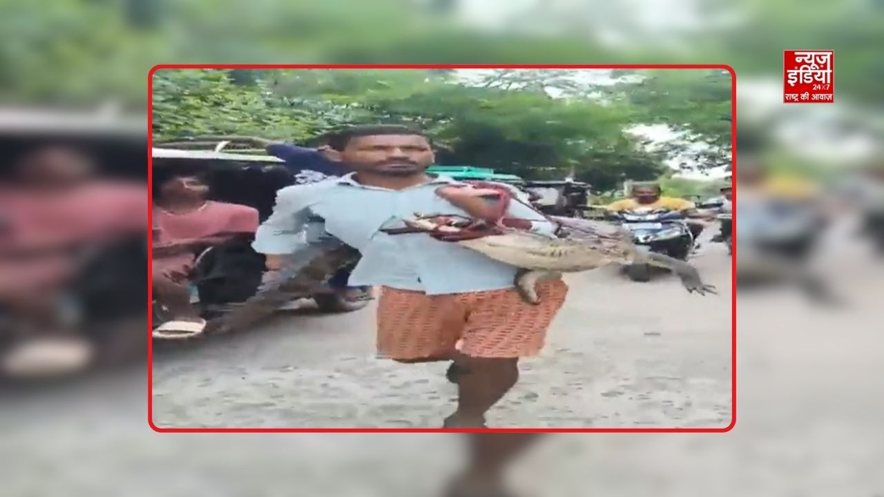 किसान कंधे पर 5 फीट लंबा मगरमच्छ लादकर पहुंचा थाने, वन विभाग ने कोसी नदी में छोड़ा