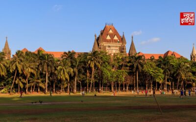 आवारा कुत्तों पर बॉम्बे HC सख्त, ABC कार्यक्रम तेजी से लागू करने की सलाह