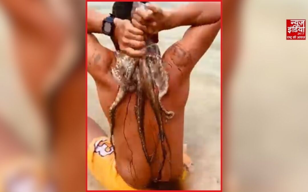 समुद्र में तैर रहे शख्स से क्यों चिपक गया ऑक्टोपस? जानें वजह और ऐसी स्थिति में क्या करें