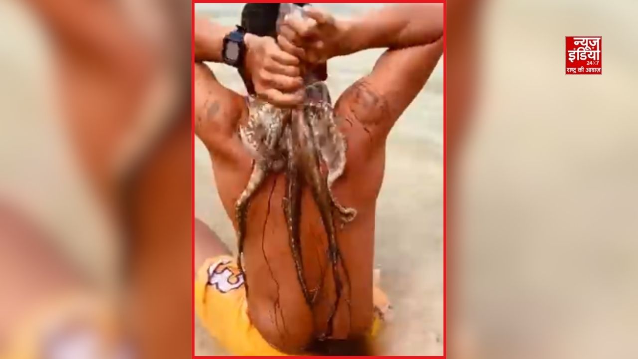 समुद्र में तैर रहे शख्स से क्यों चिपक गया ऑक्टोपस? जानें वजह और ऐसी स्थिति में क्या करें
