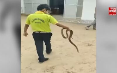 स्कूल में बच्चे ने हाथ में पकड़ा सांप, वीडियो वायरल; पिता ने बताया पूरा सच