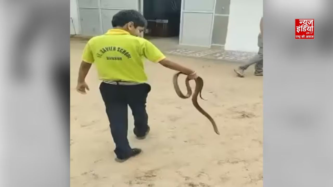 Tanisha child snake
