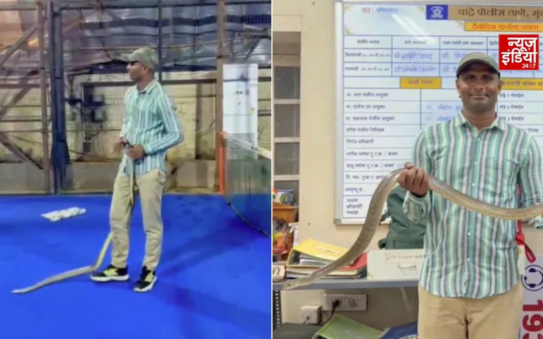 शाहरुख खान के मन्नत से 8 फीट लंबे सांप को किया रेस्क्यू