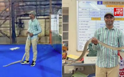 शाहरुख खान के मन्नत से 8 फीट लंबे सांप को किया रेस्क्यू