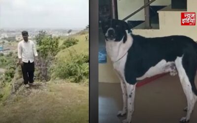 न खा रहा, न पी रहा…संभाजीनगर में बेटे-पति की मौत के बाद मां ने भी दी जान, सूने घर में अकेला रह गया वफादार कुत्ता