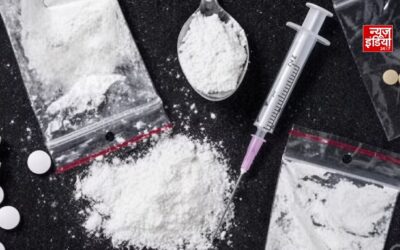 सऊदी जा रहा था 22 टन मक्का, अंदर छिपी मिली करोड़ों की ड्रग्स; बिहार से गिरफ्तारी