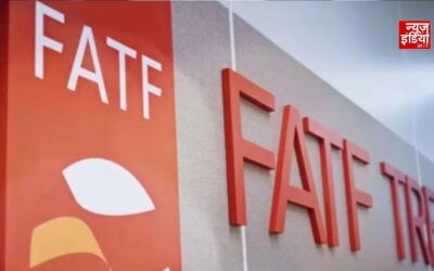फर्जी कंपनियों से हवाला तक, कैसे होता है काले धन को सफेद करने का खेल? FATF रिपोर्ट में भारत के दो मामलों का खुलासा