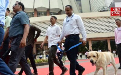 हरियाणा सिविल सचिवालय से फिरोजपुर के स्कूल तक, कई जगह बम धमाके की धमकी