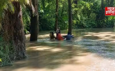 बिहार में बाढ़ का प्रकोप, चंपारण तटबंध टूटने से हजारों एकड़ की फसल नष्ट, घरों में घुसा पानी