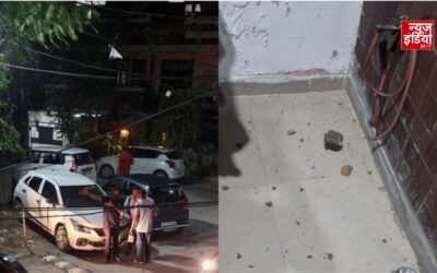 घर पर पत्थरबाजी का दावा कर निशु आज़ाद ने मांगी पुलिस सुरक्षा, बोलीं- खतरा बना हुआ है