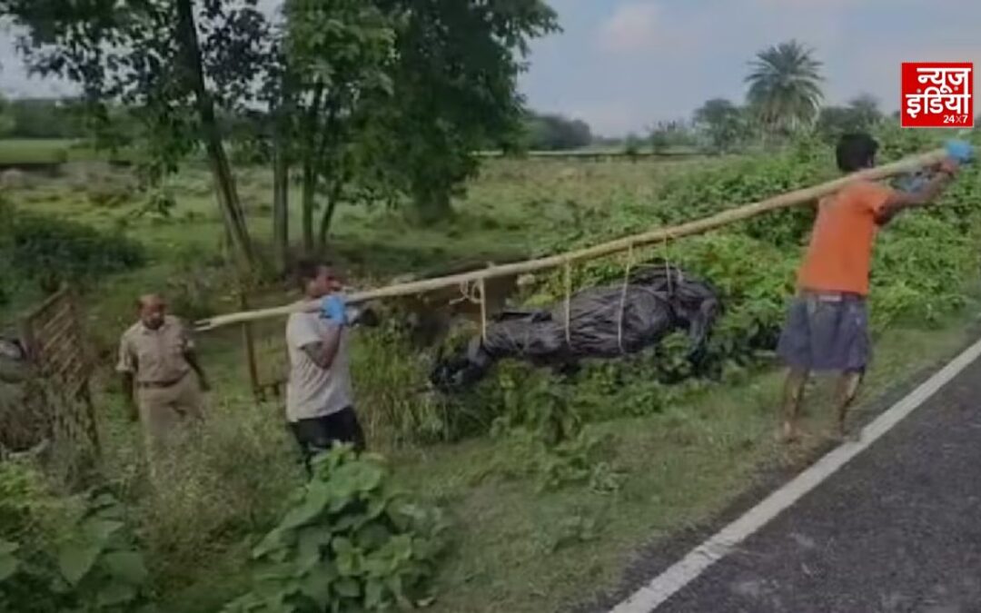 कटिहार में युवक की हत्या का आरोप, कब्रिस्तान में दफनाया शव; वायरल वीडियो के बाद निकाली गई कब्र