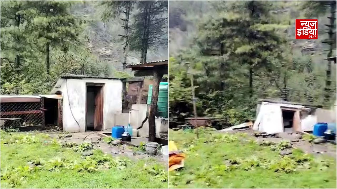 Tanisha nepal