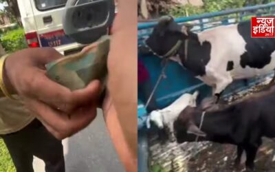 50 रुपये की रिश्वत लेते कैमरे में कैद पुलिसकर्मी, डायल 112 के 2 जवान समेत 3 पर FIR
