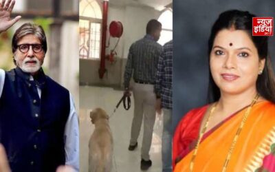 एक्टर अमिताभ बच्चन के ‘जलसा’ और मुंबई मेयर ऑफिस को उड़ाने की धमकी, सुरक्षा एजेंसियां अलर्ट