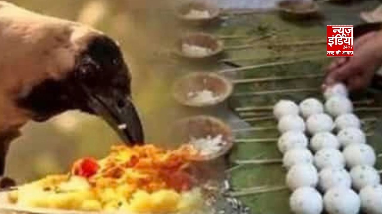 Panchbali Bhog: श्राद्ध में सबसे पहले किसे दें भोजन? जानें पंचबली का सही क्रम