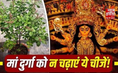 Shardiya Navratri 2026 : नवरात्रि में मां दुर्गा को भूलकर भी न चढ़ाएं ये चीजें, पूजा से पहले जान लें नियम