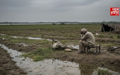 El Niño के बीच कमजोर रहा 2026 का मॉनसून, महाराष्ट्र के मराठवाड़ा में 80% फसलें बर्बाद